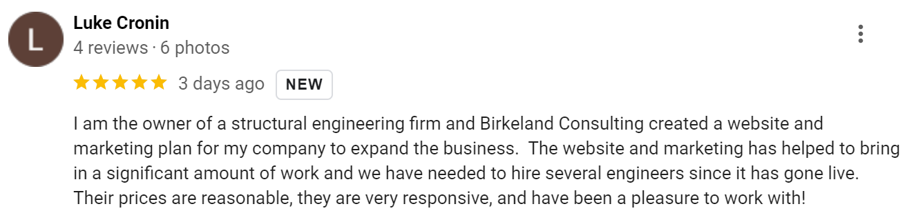 Luke Cronin - Birkeland Consulting Review